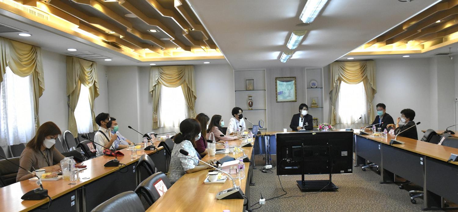 โครงการ DDP11
