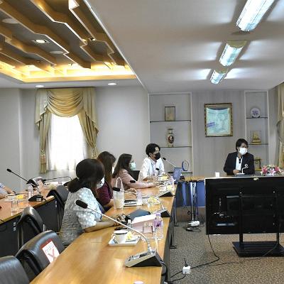 โครงการ DDP11